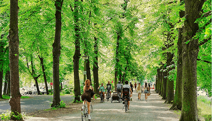 The High School to College Transition